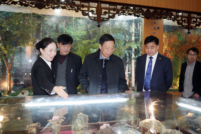 專(zhuān)題報(bào)道