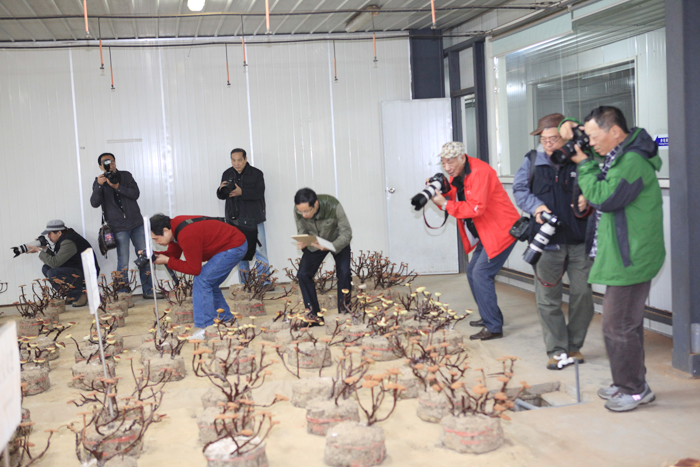 專(zhuān)題報(bào)道