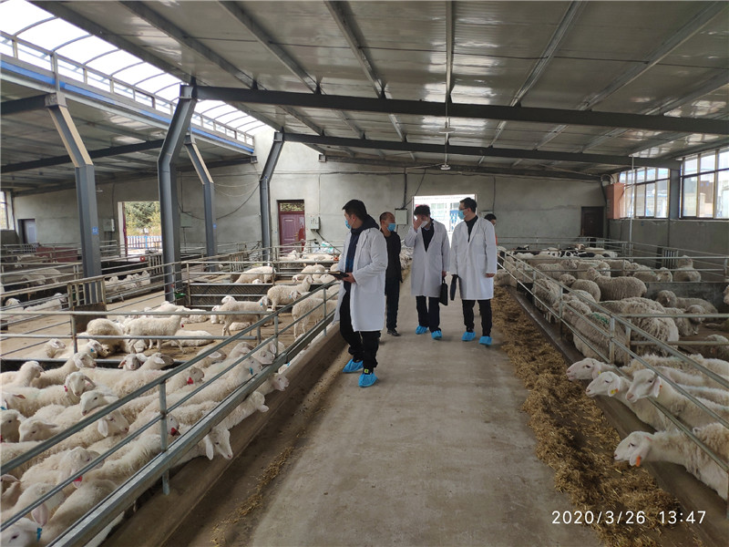 202004101586508452106400.jpg 01331be0-67f8-4085-ac3e-5d4422a3260e.jpg