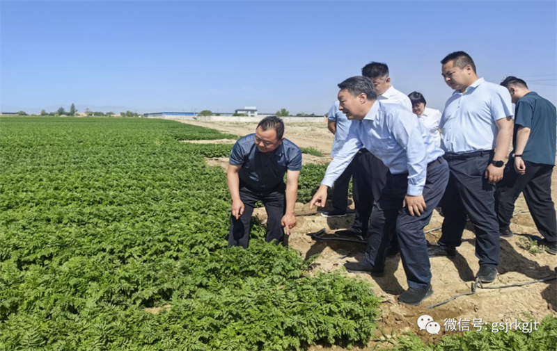 大興調(diào)研 | 祁建邦一行在武威調(diào)研