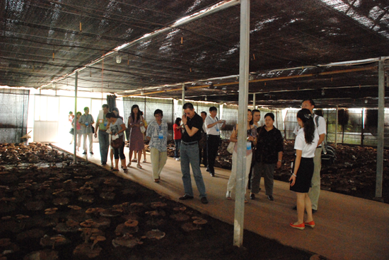 圖片關鍵詞 圖片關鍵詞