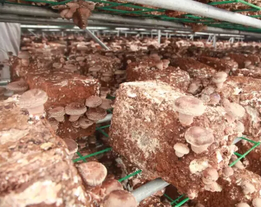 圖片關鍵詞 圖片關鍵詞