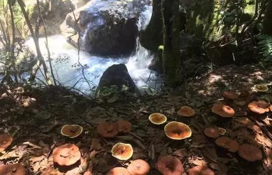 圖片關鍵詞 圖片關鍵詞