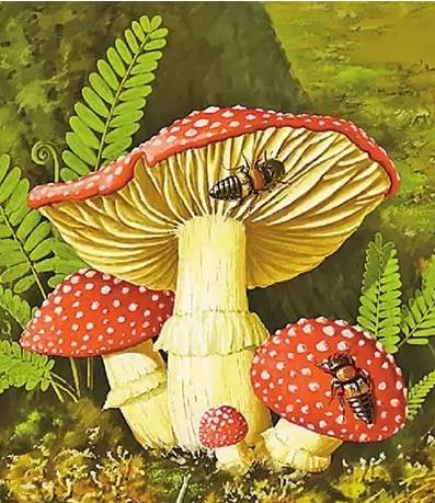 圖片關(guān)鍵詞 圖片關(guān)鍵詞