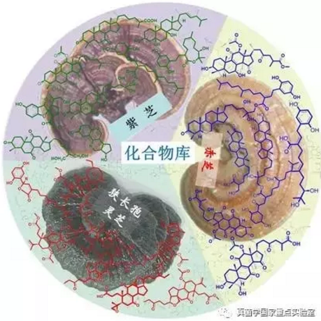 圖片關(guān)鍵詞 圖片關(guān)鍵詞