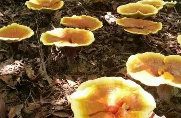 圖片關鍵詞 圖片關鍵詞