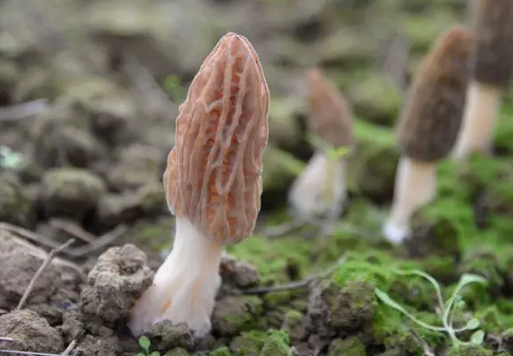 圖片關鍵詞 圖片關鍵詞