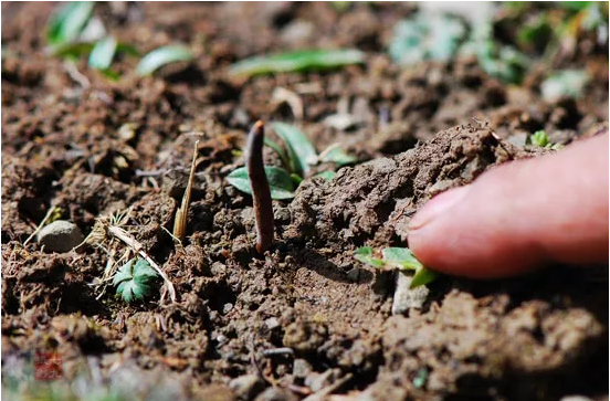 圖片關鍵詞 http://m.ssjxmj.com/ewebeditor/uploadfile/20180921101313325001.png
