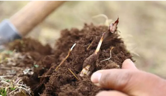 圖片關鍵詞 http://m.ssjxmj.com/ewebeditor/uploadfile/20180921101228689001.png