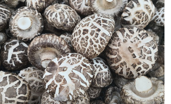 圖片關鍵詞 圖片關鍵詞