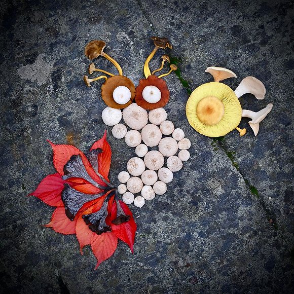 圖片關(guān)鍵詞 http://img2.jiemian.com/jiemian/original/20171123/151141537349945600_a580xH.jpg