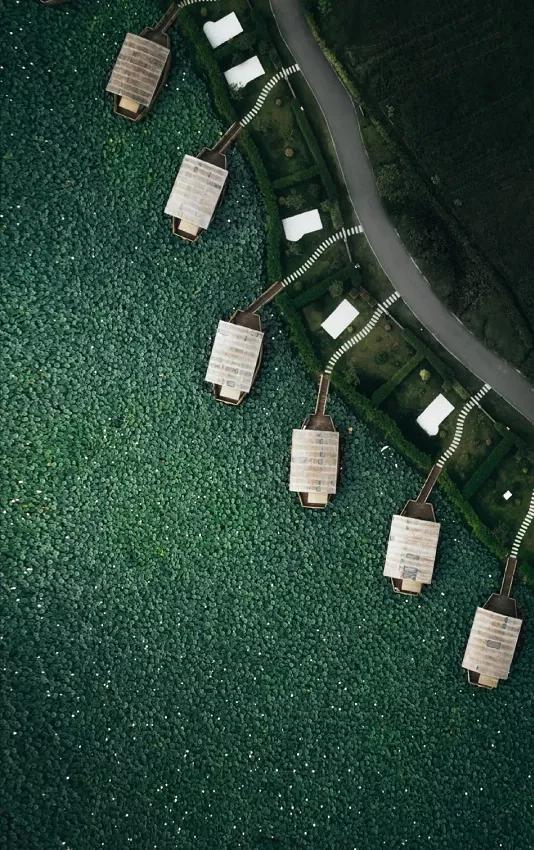 圖片關(guān)鍵詞 國家蘑菇地理:中國哪里的蘑菇最好吃?