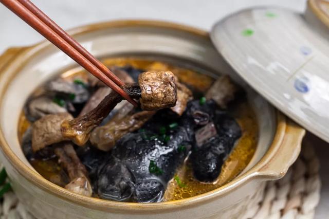 圖片關(guān)鍵詞 國家蘑菇地理:中國哪里的蘑菇最好吃?