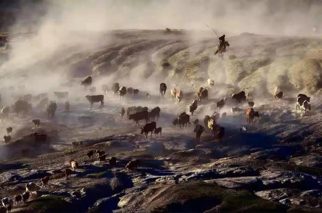 圖片關(guān)鍵詞 國家蘑菇地理:中國哪里的蘑菇最好吃?