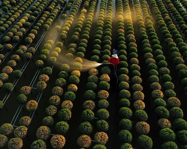 圖片關(guān)鍵詞 國家蘑菇地理:中國哪里的蘑菇最好吃?