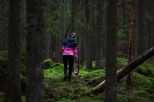 圖片關(guān)鍵詞 國家蘑菇地理:中國哪里的蘑菇最好吃?