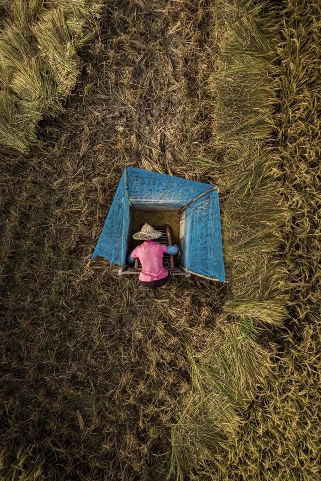 圖片關(guān)鍵詞 國家蘑菇地理:中國哪里的蘑菇最好吃?