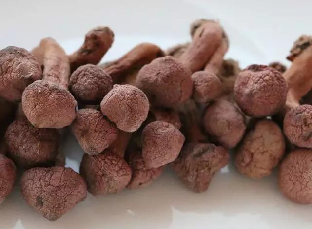 圖片關(guān)鍵詞 國家蘑菇地理:中國哪里的蘑菇最好吃?