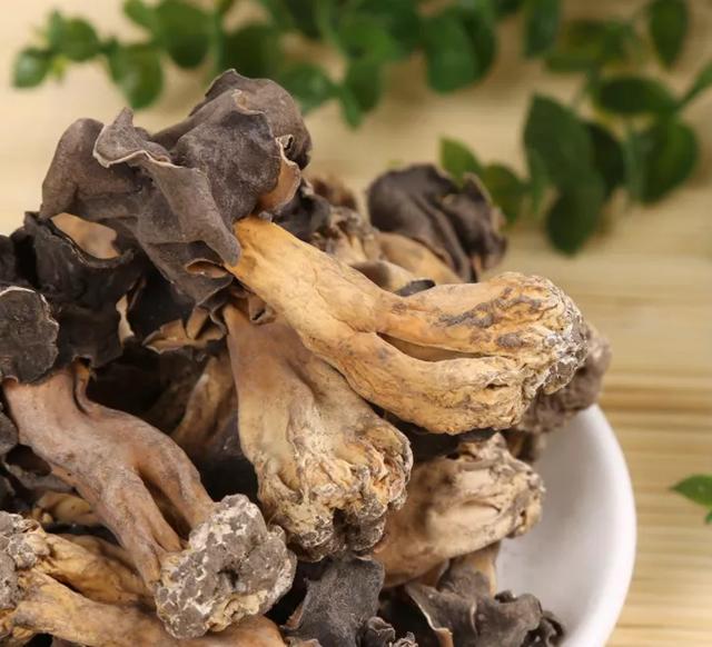 圖片關(guān)鍵詞 國家蘑菇地理:中國哪里的蘑菇最好吃?