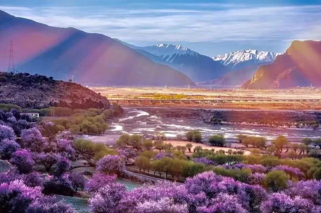 圖片關(guān)鍵詞 國家蘑菇地理:中國哪里的蘑菇最好吃?