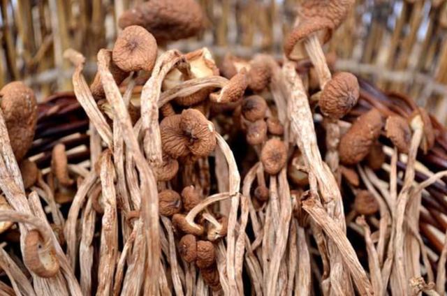 圖片關(guān)鍵詞 國家蘑菇地理:中國哪里的蘑菇最好吃?