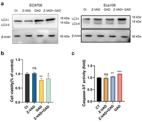圖片關鍵詞 https://mmbiz.qpic.cn/mmbiz_png/tViaTicjwibVZnnuxTI0eMzfuPJd8DTSZHDkVF2AcH2CFEDW2pCWiaKaLrfPlv2Heou2AqFLmsxY5YRwJCjZWUDSoQ/640?wx_fmt=png