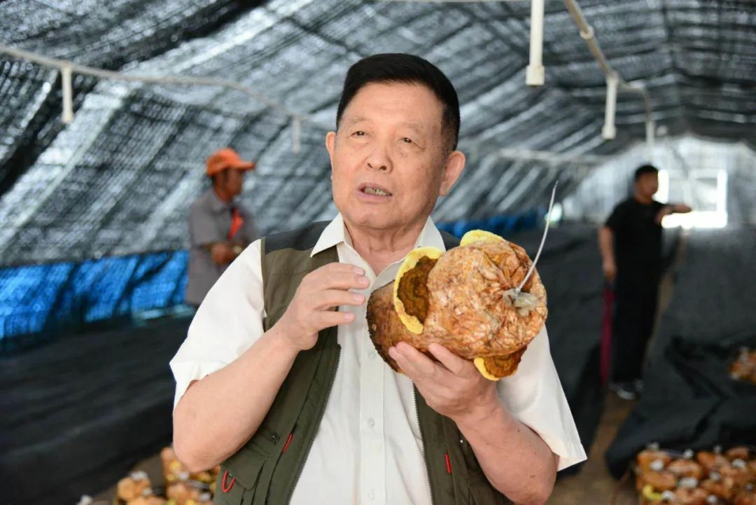 圖片關鍵詞 https://mmbiz.qpic.cn/sz_mmbiz_jpg/okVdCfcLZnPnxIoDdE3bYyyM0McKhicP5Vh3rJHCK2lWWWReCqkwCytfmokO1ic89AucxM2Bm8P7vpJeAceFOKRg/640?wx_fmt=jpeg