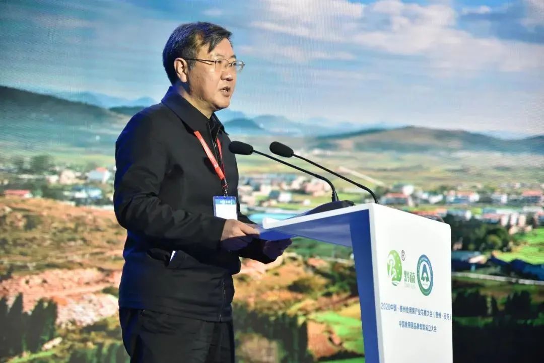 圖片關鍵詞 https://mmbiz.qpic.cn/mmbiz_jpg/tViaTicjwibVZmgEXXCALToc7mAB2rFo1Lnd9dJJbCwCeiciaicl3uI4FEfaDILyH2k6hfAFB3C1saOv389lYrkmcLlw/640?wx_fmt=jpeg