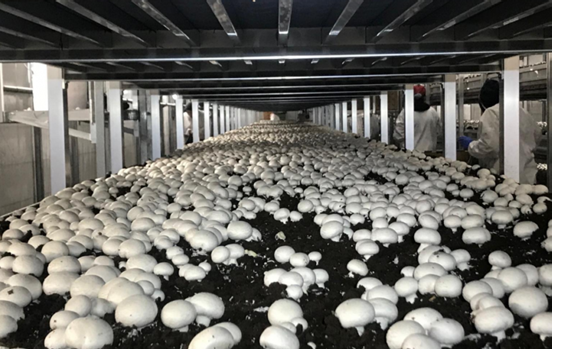 圖片關(guān)鍵詞 圖片關(guān)鍵詞