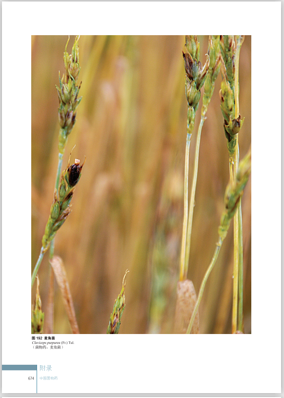 圖片關鍵詞 圖片