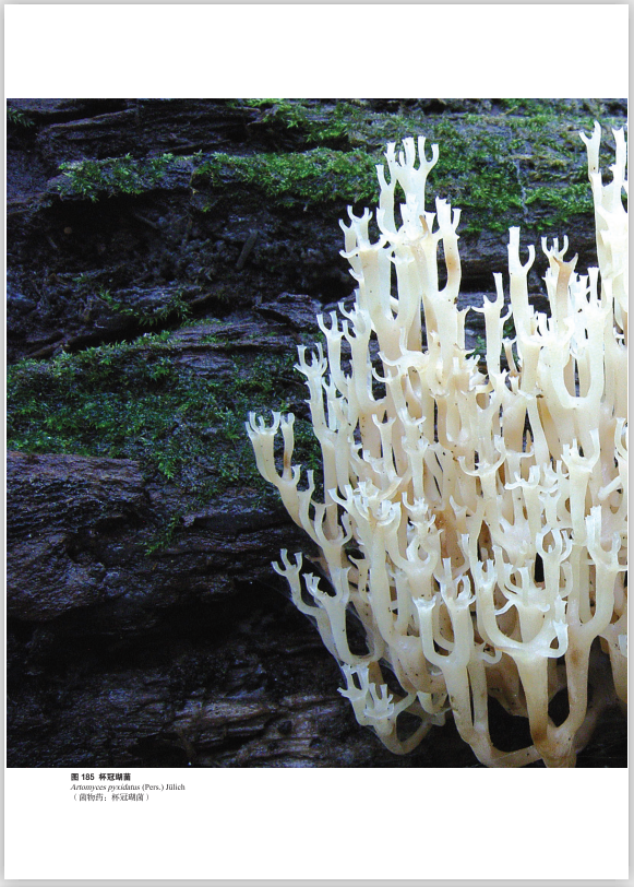 圖片關鍵詞 圖片