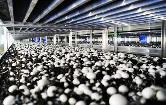 圖片關鍵詞 https://mmbiz.qpic.cn/mmbiz_jpg/OnRbAd1HL46AwkQ024uRgKwLm56pArgJHqUf6spvoDgR5YQmECBiaapG6y75iaZrnkDZzNiahVnliagRIlJzwK2Oiag/640?wx_fmt=jpeg