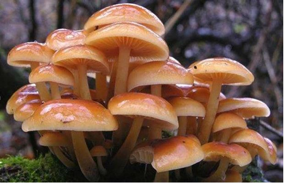 圖片關鍵詞 圖片關鍵詞