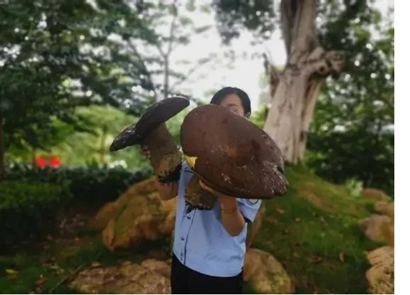 圖片關鍵詞 圖片關鍵詞