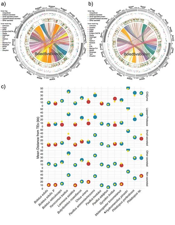 圖片關鍵詞 圖片