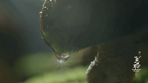 圖片關鍵詞 圖片