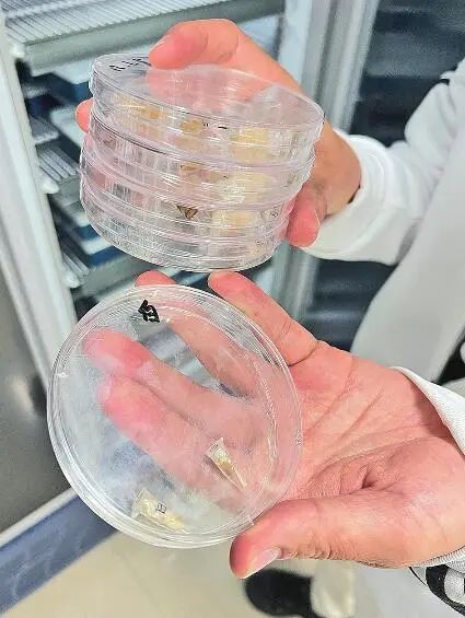 圖片關鍵詞 圖片