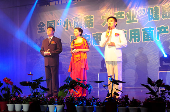 圖片關鍵詞 圖片關鍵詞