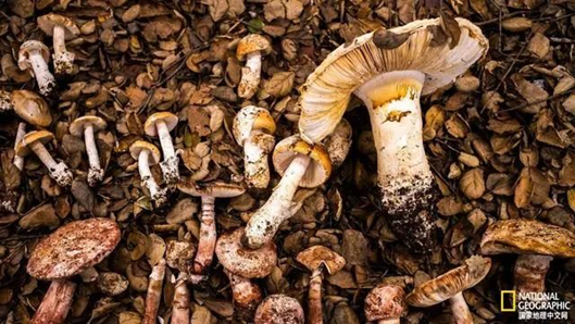 圖片關鍵詞 圖片關鍵詞