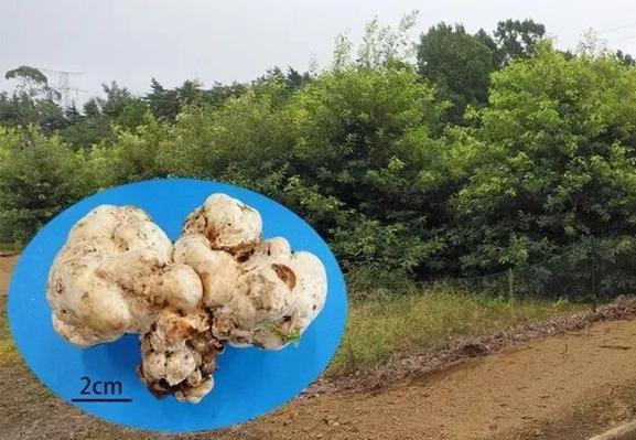 圖片關鍵詞 圖片關鍵詞