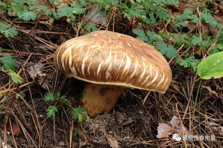 圖片關鍵詞 圖片關鍵詞