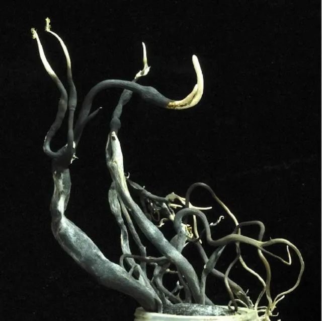 圖片關(guān)鍵詞 圖片關(guān)鍵詞