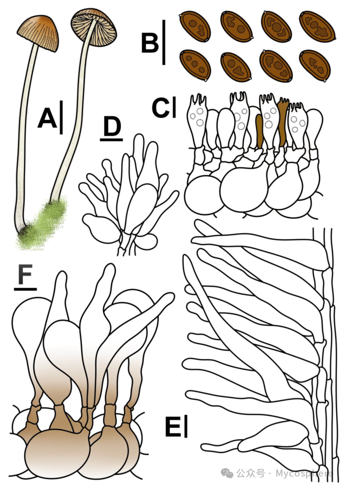 圖片關鍵詞 圖片關鍵詞