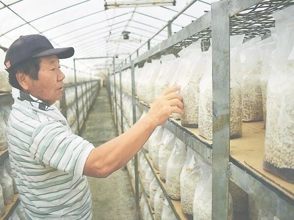 圖片關(guān)鍵詞 圖片關(guān)鍵詞