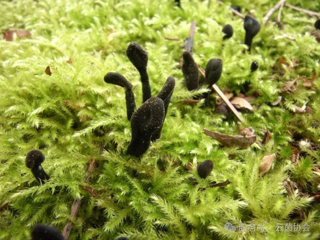 圖片關鍵詞 圖片關鍵詞