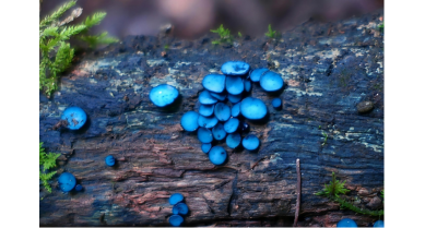 行業(yè)動(dòng)態(tài)