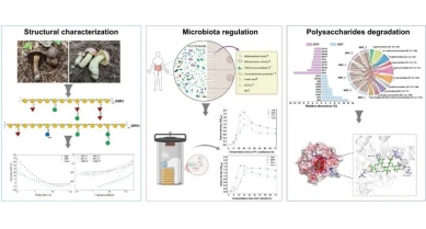 行業(yè)動態(tài)